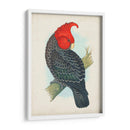 Cockatoo Antiguo I | Cuadro decorativo de Canvas Lab