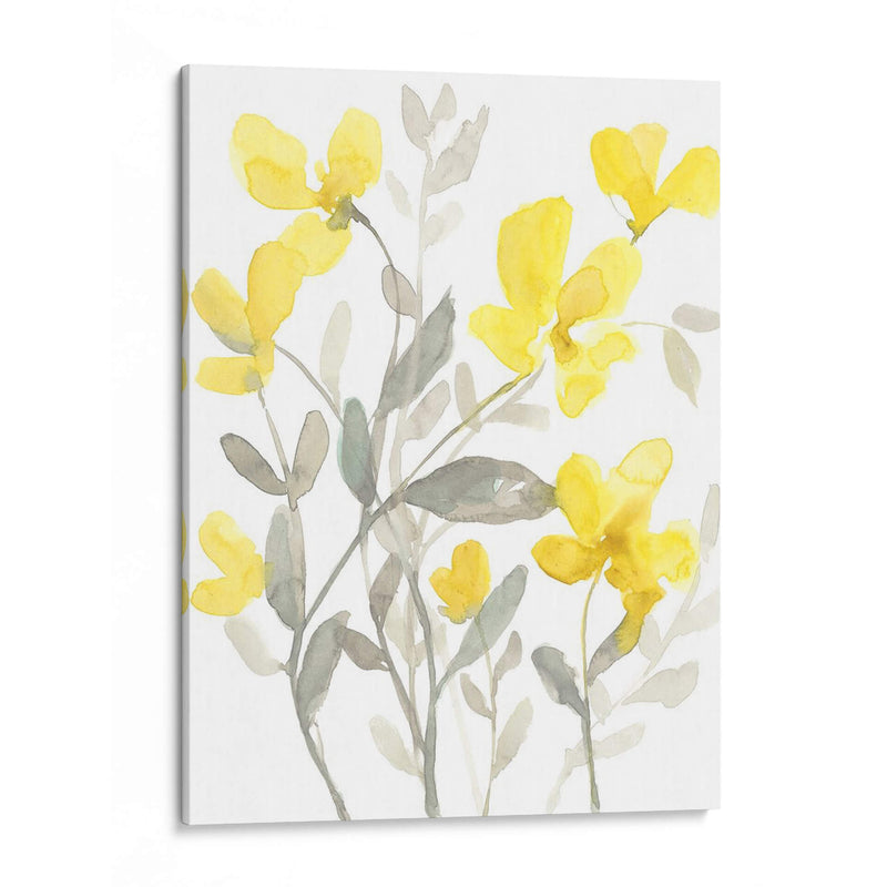 Jardín Amarillo Y Gris Ii - Jennifer Goldberger | Cuadro decorativo de Canvas Lab