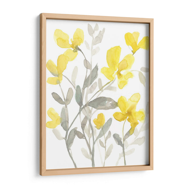 Jardín Amarillo Y Gris Ii - Jennifer Goldberger | Cuadro decorativo de Canvas Lab