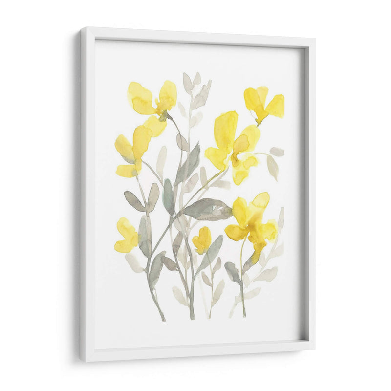 Jardín Amarillo Y Gris Ii - Jennifer Goldberger | Cuadro decorativo de Canvas Lab