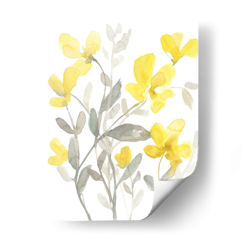 Jardín Amarillo Y Gris Ii - Jennifer Goldberger | Cuadro decorativo de Canvas Lab