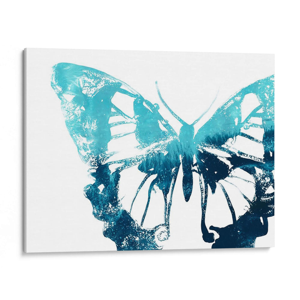 Impresión De Mariposa I - June Erica Vess | Cuadro decorativo de Canvas Lab