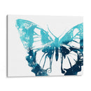 Impresión De Mariposa I - June Erica Vess | Cuadro decorativo de Canvas Lab