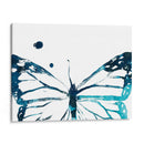 Butterfly Imprint Iii - June Erica Vess | Cuadro decorativo de Canvas Lab