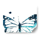 Butterfly Imprint Iii - June Erica Vess | Cuadro decorativo de Canvas Lab