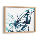 Impresión De Mariposa V - June Erica Vess | Cuadro decorativo de Canvas Lab