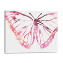 Butterfly Imprint Vi - June Erica Vess | Cuadro decorativo de Canvas Lab