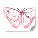 Butterfly Imprint Vi - June Erica Vess | Cuadro decorativo de Canvas Lab