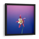 La flor estrella | Cuadro decorativo de Canvas Lab