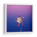 La flor estrella | Cuadro decorativo de Canvas Lab