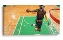 King James Dunk | Cuadro decorativo de Canvas Lab