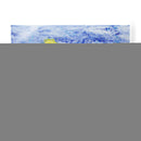 Tormenta Sobre El Jardín De Verano - Allan Friedlander | Cuadro decorativo de Canvas Lab