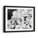 Botánico Bajo Luz De Luna Fría I - Paul McCreery | Cuadro decorativo de Canvas Lab