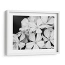 Botánico Bajo Luz De Luna Fría I - Paul McCreery | Cuadro decorativo de Canvas Lab