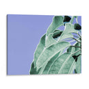 Claras Hojas En Azul I - Paul McCreery | Cuadro decorativo de Canvas Lab