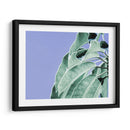 Claras Hojas En Azul I - Paul McCreery | Cuadro decorativo de Canvas Lab