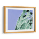 Claras Hojas En Azul I - Paul McCreery | Cuadro decorativo de Canvas Lab