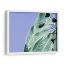 Claras Hojas En Azul I - Paul McCreery | Cuadro decorativo de Canvas Lab