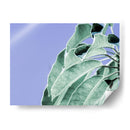 Claras Hojas En Azul I - Paul McCreery | Cuadro decorativo de Canvas Lab