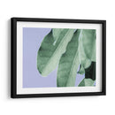 Hojas Claras En Azul Ii - Paul McCreery | Cuadro decorativo de Canvas Lab