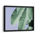 Hojas Claras En Azul Ii - Paul McCreery | Cuadro decorativo de Canvas Lab