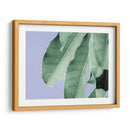 Hojas Claras En Azul Ii - Paul McCreery | Cuadro decorativo de Canvas Lab