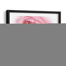 Bonitas Flores Rosas Ii - Paul McCreery | Cuadro decorativo de Canvas Lab