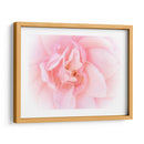 Bonitas Flores Rosas Iii - Paul McCreery | Cuadro decorativo de Canvas Lab