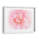 Bonitas Flores Rosas Iii - Paul McCreery | Cuadro decorativo de Canvas Lab