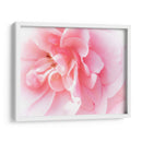 Basas Floraciones Rosas Iv - Paul McCreery | Cuadro decorativo de Canvas Lab