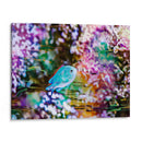 Arrecife Vibrante I - Paul McCreery | Cuadro decorativo de Canvas Lab