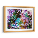 Arrecife Vibrante I - Paul McCreery | Cuadro decorativo de Canvas Lab