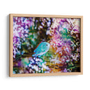 Arrecife Vibrante I - Paul McCreery | Cuadro decorativo de Canvas Lab