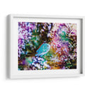 Arrecife Vibrante I - Paul McCreery | Cuadro decorativo de Canvas Lab