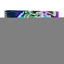 Reef Vibrante Ii - Paul McCreery | Cuadro decorativo de Canvas Lab