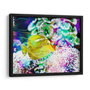 Reef Vibrante Ii - Paul McCreery | Cuadro decorativo de Canvas Lab