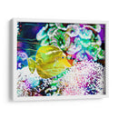 Reef Vibrante Ii - Paul McCreery | Cuadro decorativo de Canvas Lab