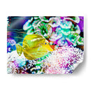 Reef Vibrante Ii - Paul McCreery | Cuadro decorativo de Canvas Lab