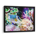 Reef Vibrante Iii - Paul McCreery | Cuadro decorativo de Canvas Lab