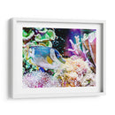 Reef Vibrante Iii - Paul McCreery | Cuadro decorativo de Canvas Lab