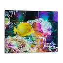 Vibrante Reef Iv - Paul McCreery | Cuadro decorativo de Canvas Lab