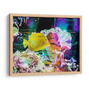 Vibrante Reef Iv - Paul McCreery | Cuadro decorativo de Canvas Lab