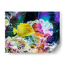Vibrante Reef Iv - Paul McCreery | Cuadro decorativo de Canvas Lab