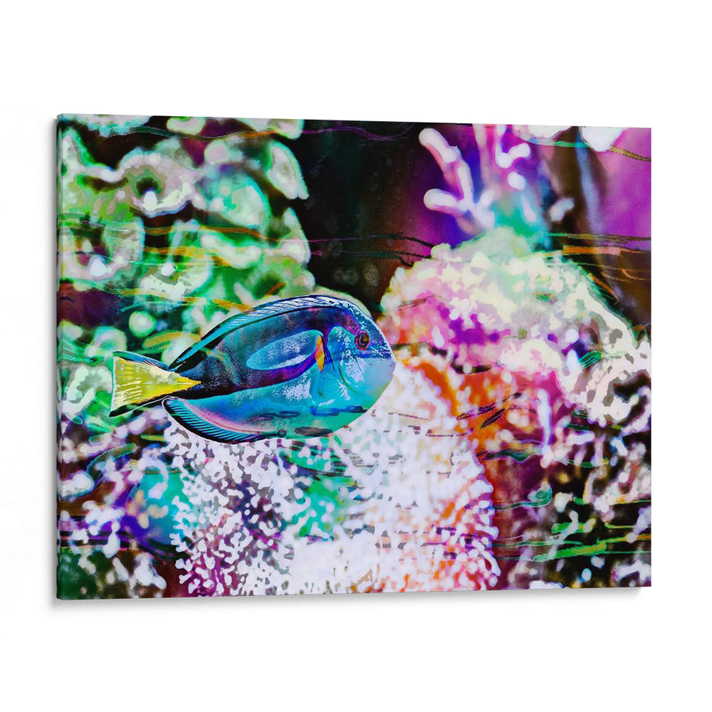 Reef Vibrante Vi - Paul McCreery | Cuadro decorativo de Canvas Lab