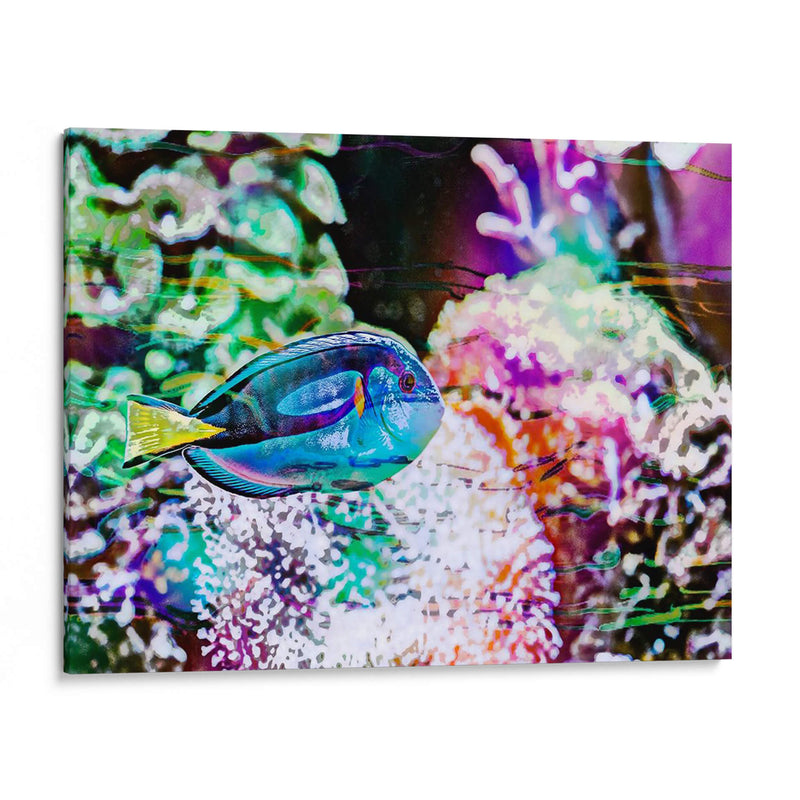 Reef Vibrante Vi - Paul McCreery | Cuadro decorativo de Canvas Lab