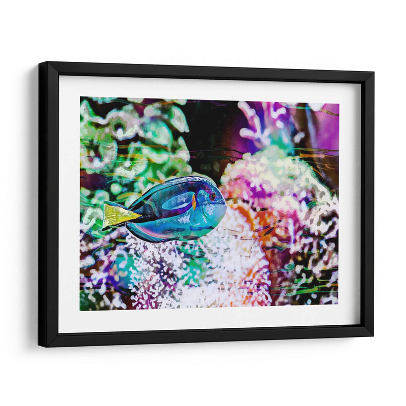 Reef Vibrante Vi - Paul McCreery | Cuadro decorativo de Canvas Lab