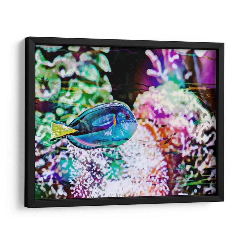 Reef Vibrante Vi - Paul McCreery | Cuadro decorativo de Canvas Lab