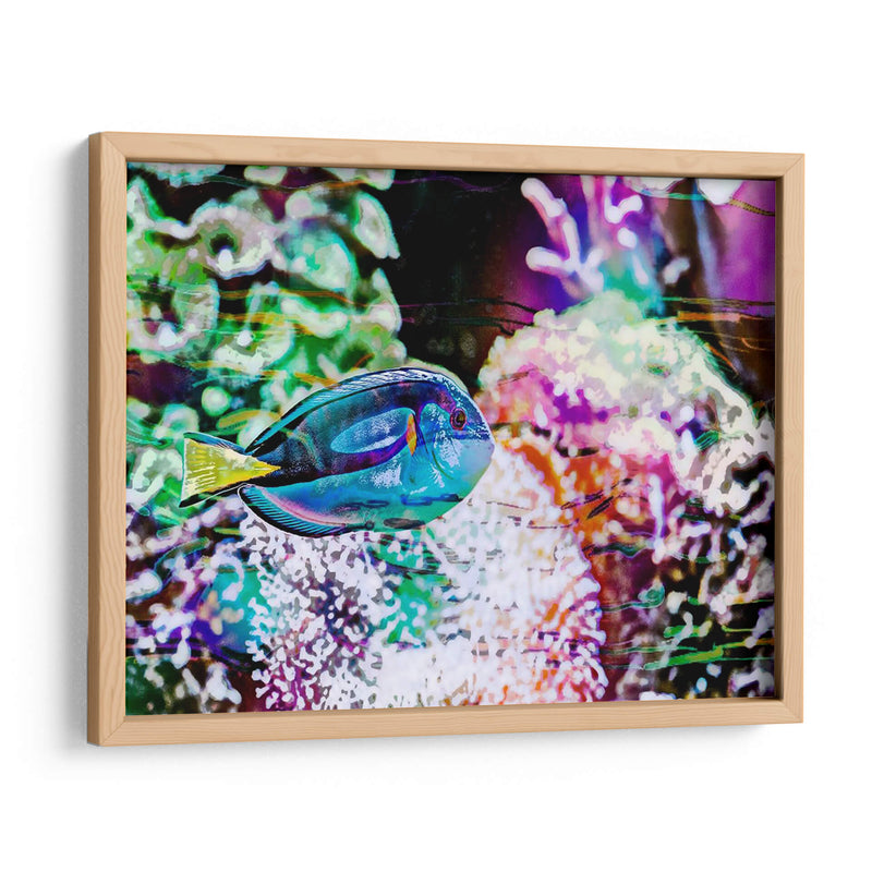 Reef Vibrante Vi - Paul McCreery | Cuadro decorativo de Canvas Lab