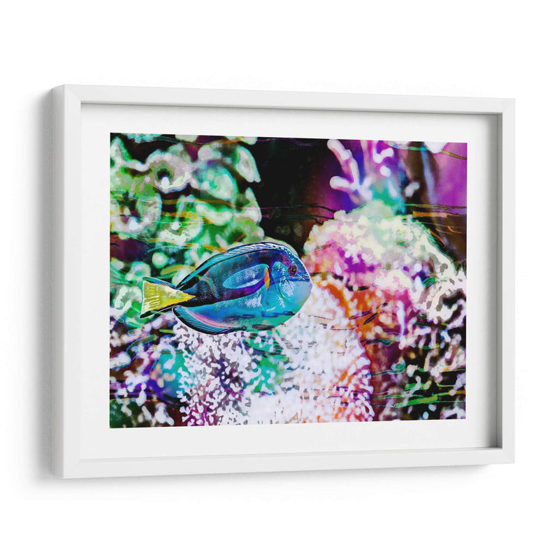 Reef Vibrante Vi - Paul McCreery | Cuadro decorativo de Canvas Lab