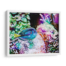 Reef Vibrante Vi - Paul McCreery | Cuadro decorativo de Canvas Lab